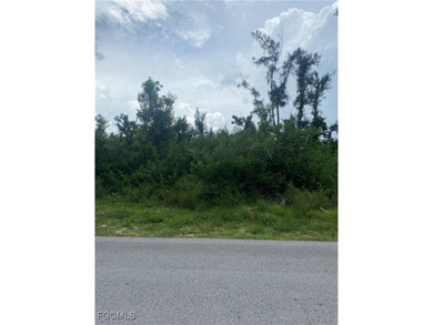 Cape Coral Area Lot For Sale in Cape Coral Florida