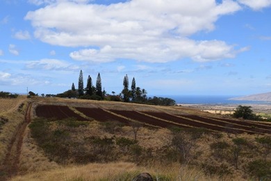 Enjoy expansive bi-coastal ocean and mountain views from this 8 - photo 1