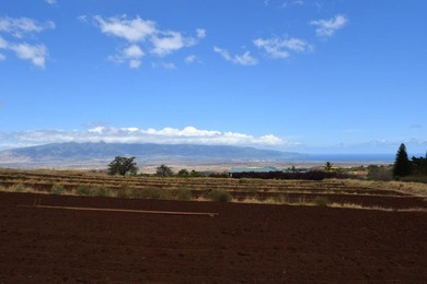 Enjoy expansive bi-coastal ocean and mountain views from this 8 - photo 5