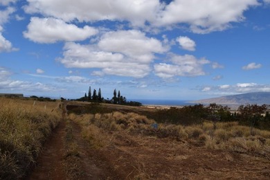 Enjoy expansive bi-coastal ocean and mountain views from this 8 - photo 6