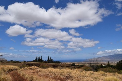 Enjoy expansive bi-coastal ocean and mountain views from this 8 - photo 7