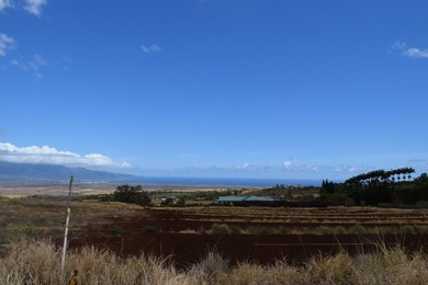 Enjoy expansive bi-coastal ocean and mountain views from this 8 - photo 9