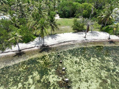BEING SOLD W/ 41 SUNSET RD!  MLS#: 620255 - 2 Lots w 200' of w/ - photo 12