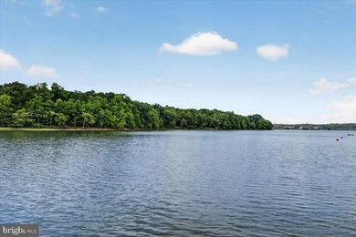 Remarkable waterfront lot! 3 stall Boathouse with huge sunning - photo 14