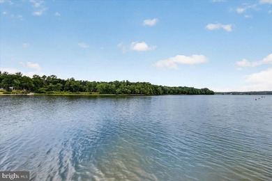 Remarkable waterfront lot! 3 stall Boathouse with huge sunning - photo 15