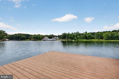Remarkable waterfront lot! 3 stall Boathouse with huge sunning - photo 19