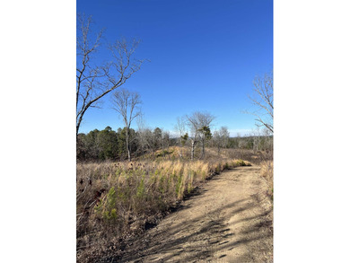 Lake Hamilton Acreage For Sale in Hot Springs Arkansas