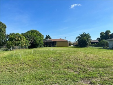 This residential lot is centrally located off Del Prado Blvd - photo 1
