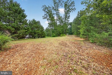 Remarkable waterfront lot! 3 stall Boathouse with huge sunning - photo 24