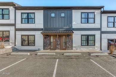 Modern Lakefront Luxury-Mountain View on Boone Lake Welcome to - photo 24