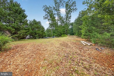 Remarkable waterfront lot! 3 stall Boathouse with huge sunning - photo 25
