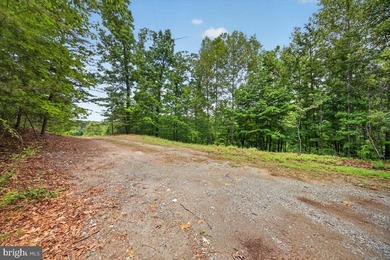 Remarkable waterfront lot! 3 stall Boathouse with huge sunning - photo 26