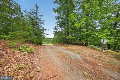Remarkable waterfront lot! 3 stall Boathouse with huge sunning - photo 28