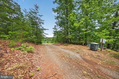 Remarkable waterfront lot! 3 stall Boathouse with huge sunning - photo 29