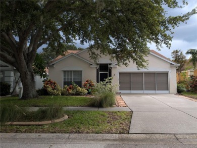 (private lake, pond, creek) Home For Sale in Riverview Florida