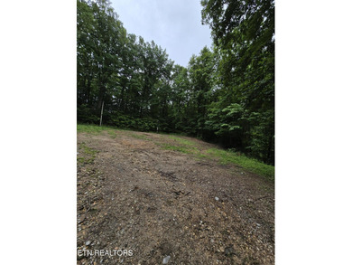Are you looking for unrestricted property? Here you go! 2.3 - photo 3