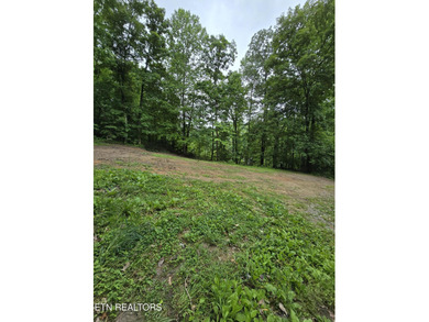 Are you looking for unrestricted property? Here you go! 2.3 - photo 10