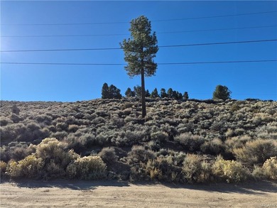 Baldwin Lake Lot For Sale in Big Bear City California