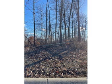Lake Lot For Sale in Batesville, Indiana