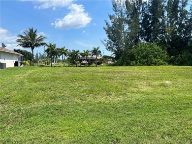 Nice, cleared freshwater canal lot, not in a flood zone with - photo 4