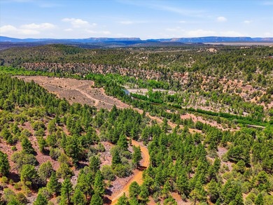 Welcome to your premier legacy ranch in the heart of northern - photo 5