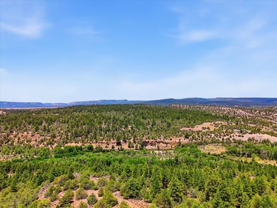 Welcome to your premier legacy ranch in the heart of northern - photo 8