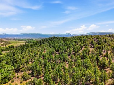 Welcome to your premier legacy ranch in the heart of northern - photo 10