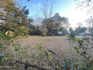 READY TO BUILD YOUR DREAM HOME ? THIS BEAUTIFUL CLEARED CORNER - photo 3