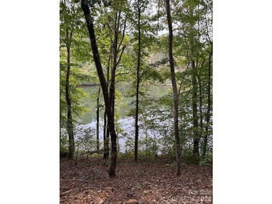 Beautiful Mountain Log Home on 2.5 acres with lake views. Hidden - photo 9