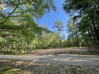 Lake Sam Rayburn  Lot For Sale in Brookeland Texas