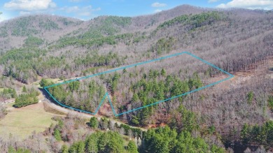 Nottely River Acreage For Sale in Blairsville Georgia