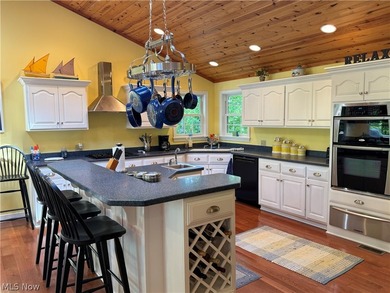 Terrific REMODELED LAKEFRONT with 288 FEET OF LAKE FRONTAGE - photo 9