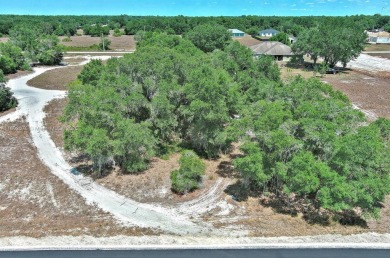 Lehigh Acres Area Lot For Sale in Lehigh Acres Florida