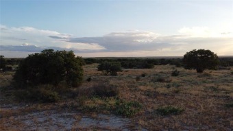 (private lake, pond, creek) Acreage For Sale in Winchell Texas