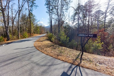 Very Nice easy build lot (gently sloping) in Cullowhee River - photo 2