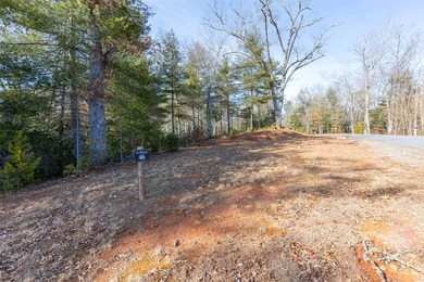 Very Nice easy build lot (gently sloping) in Cullowhee River - photo 3
