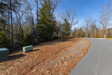 Very Nice easy build lot (gently sloping) in Cullowhee River - photo 4