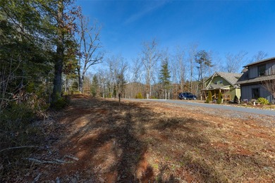 Very Nice easy build lot (gently sloping) in Cullowhee River - photo 5