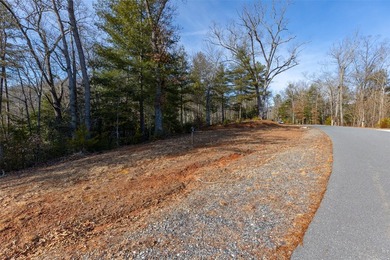 Very Nice easy build lot (gently sloping) in Cullowhee River - photo 6