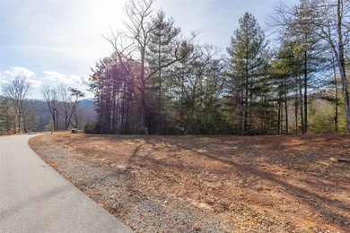 Very Nice easy build lot (gently sloping) in Cullowhee River - photo 7