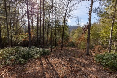 Very Nice easy build lot (gently sloping) in Cullowhee River - photo 10