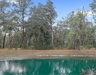 (private lake, pond, coastal) Lot For Sale in Seabrook South Carolina