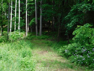 Lake Acreage For Sale in Salisbury, Connecticut