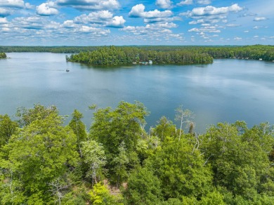 Rustic Cabin on Deerskin Lake - Lake Home For Sale in Eagle River, Wisconsin