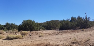 Lake Lot Off Market in Palmdale, California