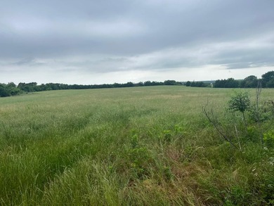 33.48 acres of prime real estate located within walking distance - photo 7