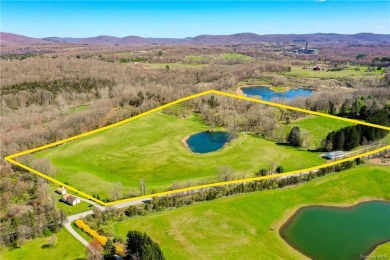(private lake, pond, creek) Acreage For Sale in Dover New York