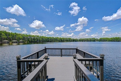 An extraordinary lakefront estate on the shores of Big Lake - photo 3