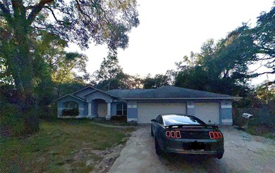 Withlacoochee River Home For Sale in Webster Florida