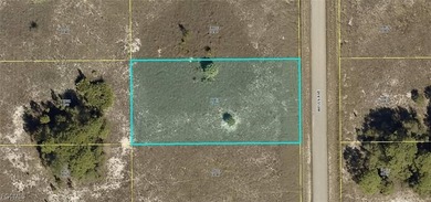 Lehigh Acres Area Lot For Sale in Lehigh Acres Florida
